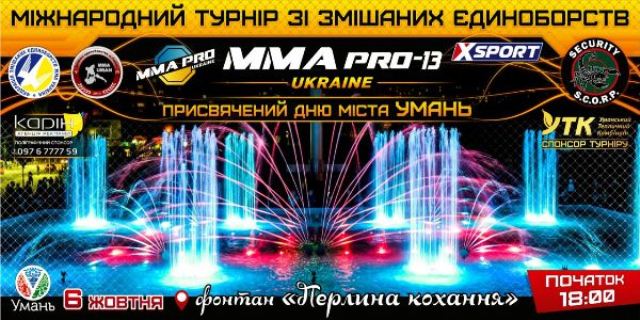 0310 ММА 2