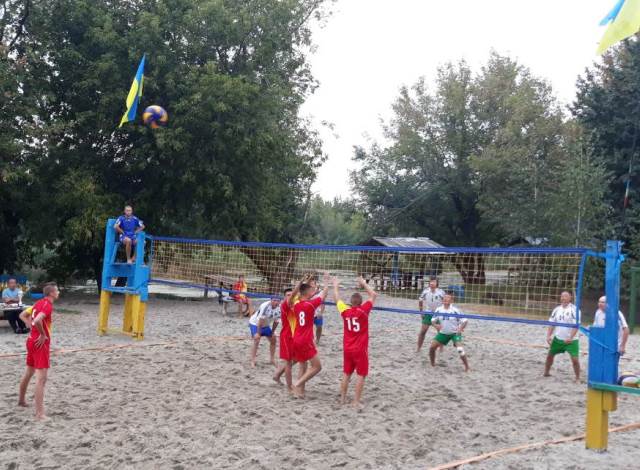 кубок вільшанки