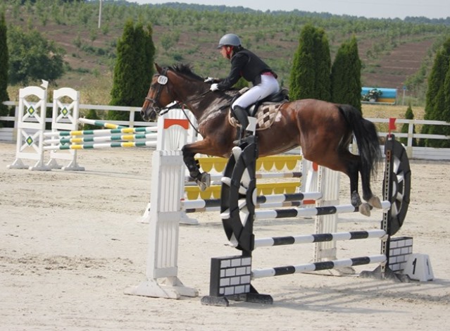 0508 кінний спорт