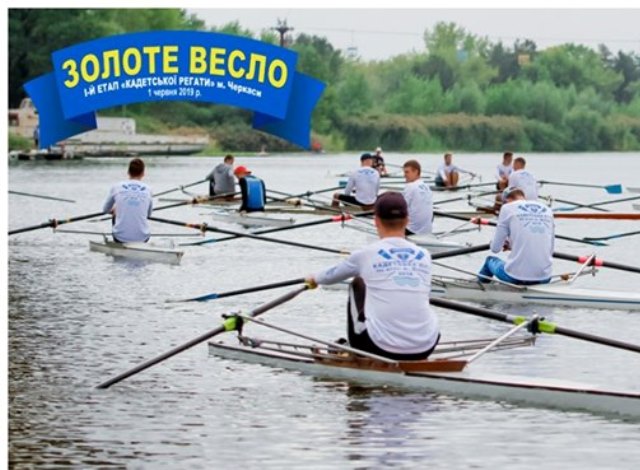 3105 золоте весло n
