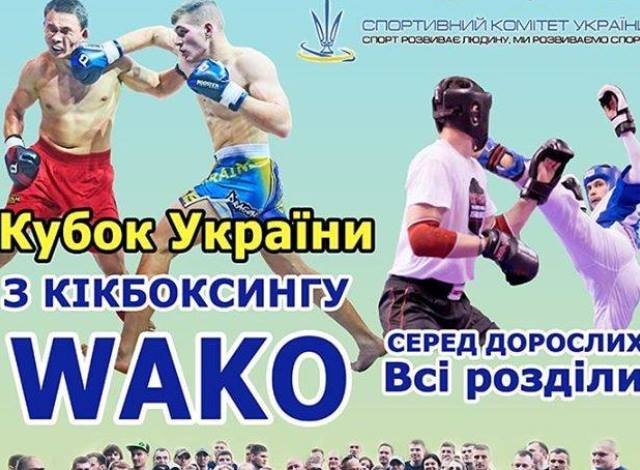 0209 Кікбоксінг n  копия