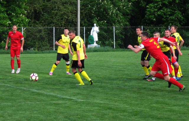 bazis cup 003