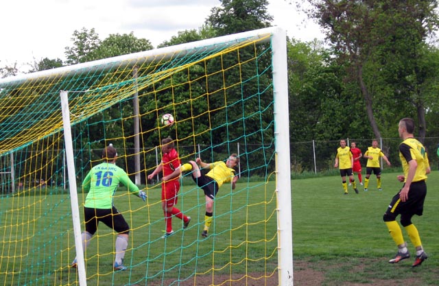 bazis cup 06