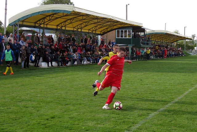 bazis cup 08