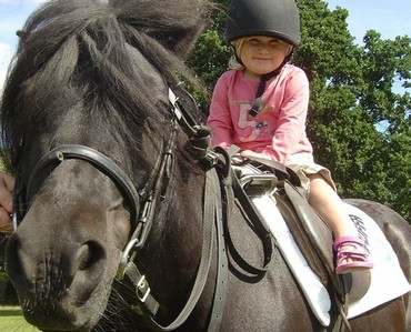 24568446000horse-news-katie1