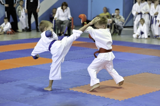 78678678686786karate-223
