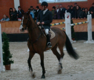 DSC05078
