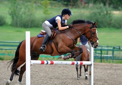 equesdedtria998n