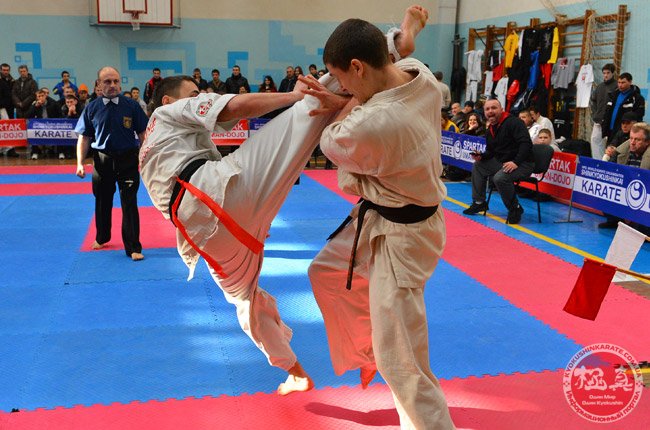 karate1363279433_1