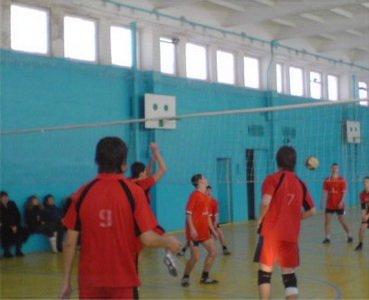 voley