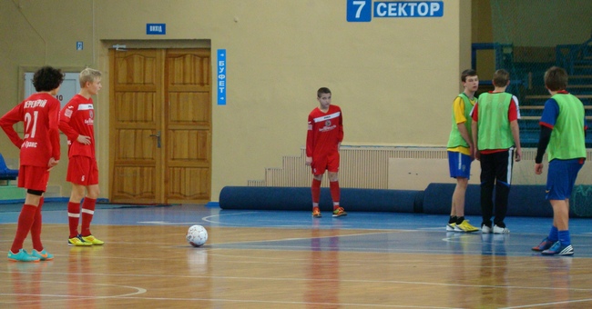 yavorarizdvyanyiDSC04951