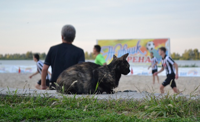 14082016DSC 0159 10